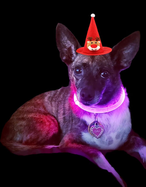 Load image into Gallery viewer, Dog Light up Collar LED Collar Light up Cat Collar USB Rechargeable Collar Christmas Decoration Pet Collar Pet Christmas Gifts
