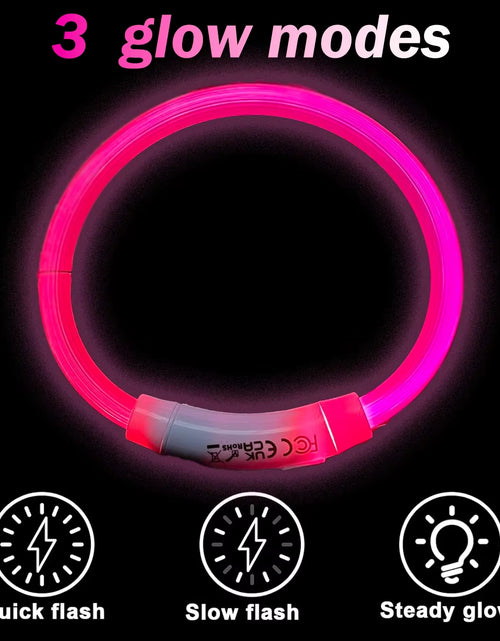 Load image into Gallery viewer, Dog Light up Collar LED Collar Light up Cat Collar USB Rechargeable Collar Christmas Decoration Pet Collar Pet Christmas Gifts
