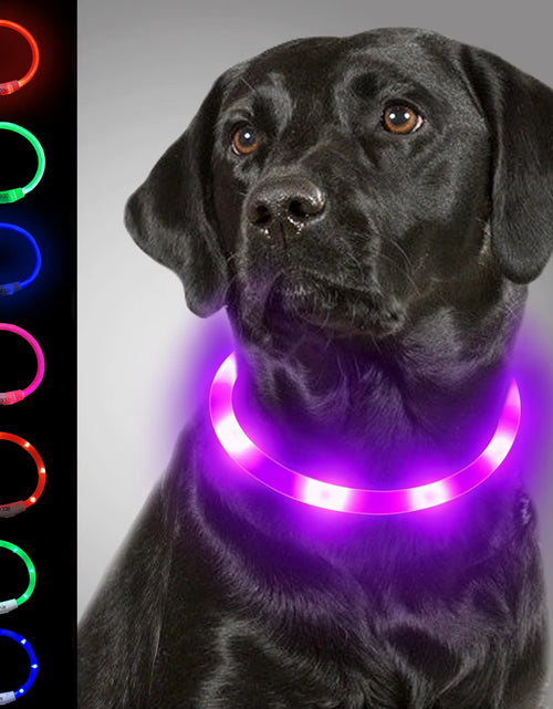 Load image into Gallery viewer, Dog Light up Collar LED Collar Light up Cat Collar USB Rechargeable Collar Christmas Decoration Pet Collar Pet Christmas Gifts
