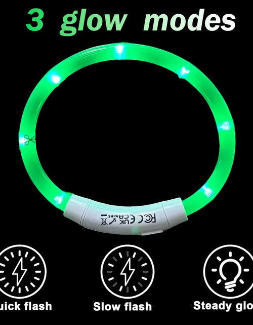 Load image into Gallery viewer, Dog Light up Collar LED Collar Light up Cat Collar USB Rechargeable Collar Christmas Decoration Pet Collar Pet Christmas Gifts
